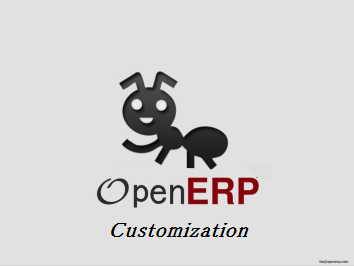 ERP8