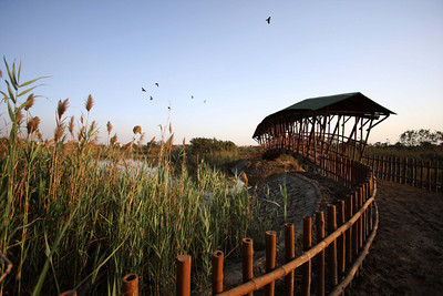 BAMBOO BRIDGE